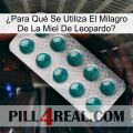 ¿Para Qué Se Utiliza El Milagro De La Miel De Leopardo dapoxetine1